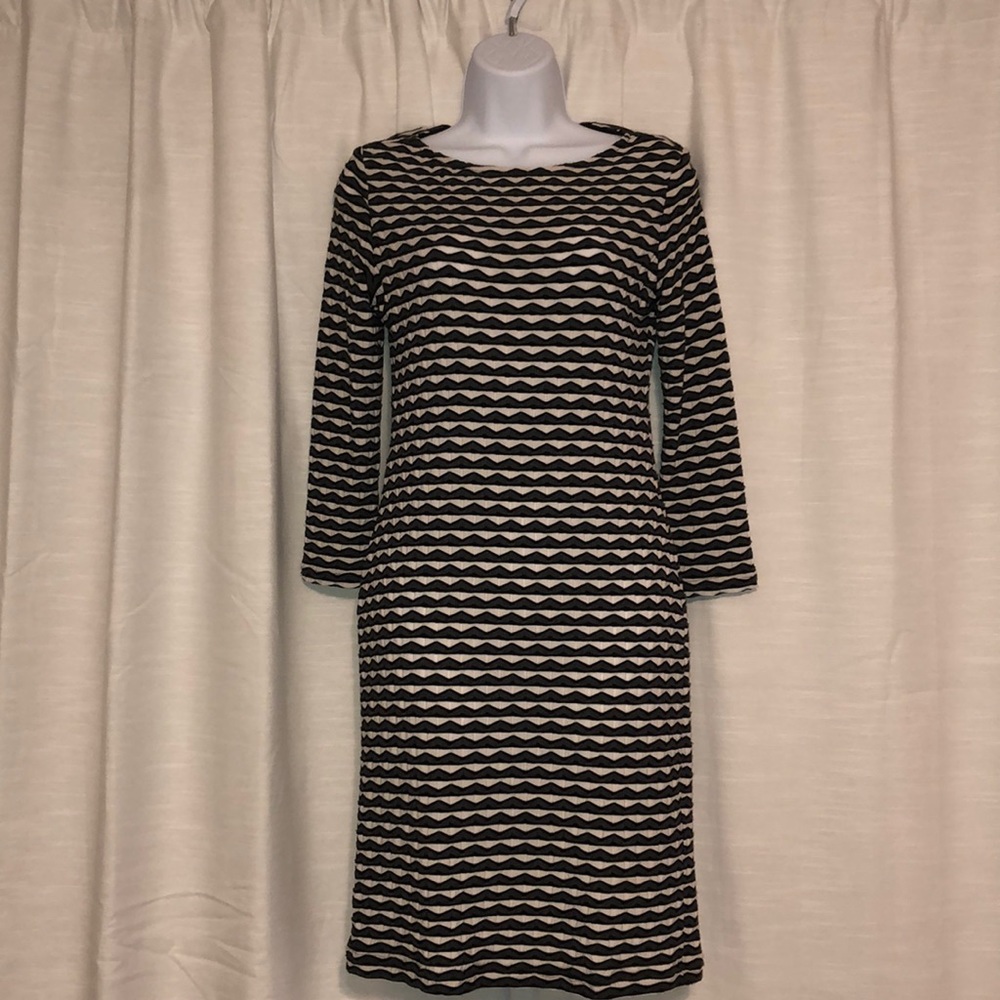 Super Cute Sharagano Dress!